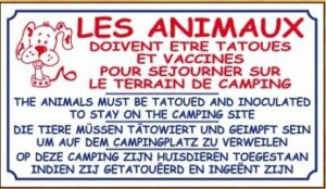 Animaux tatoués et vaccinés