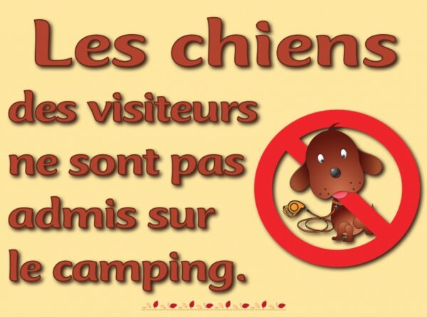 Les chiens des visiteurs ne sont pas admis dans le camping