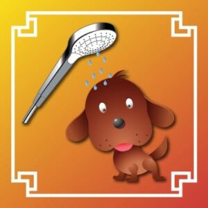 Logo douche chien