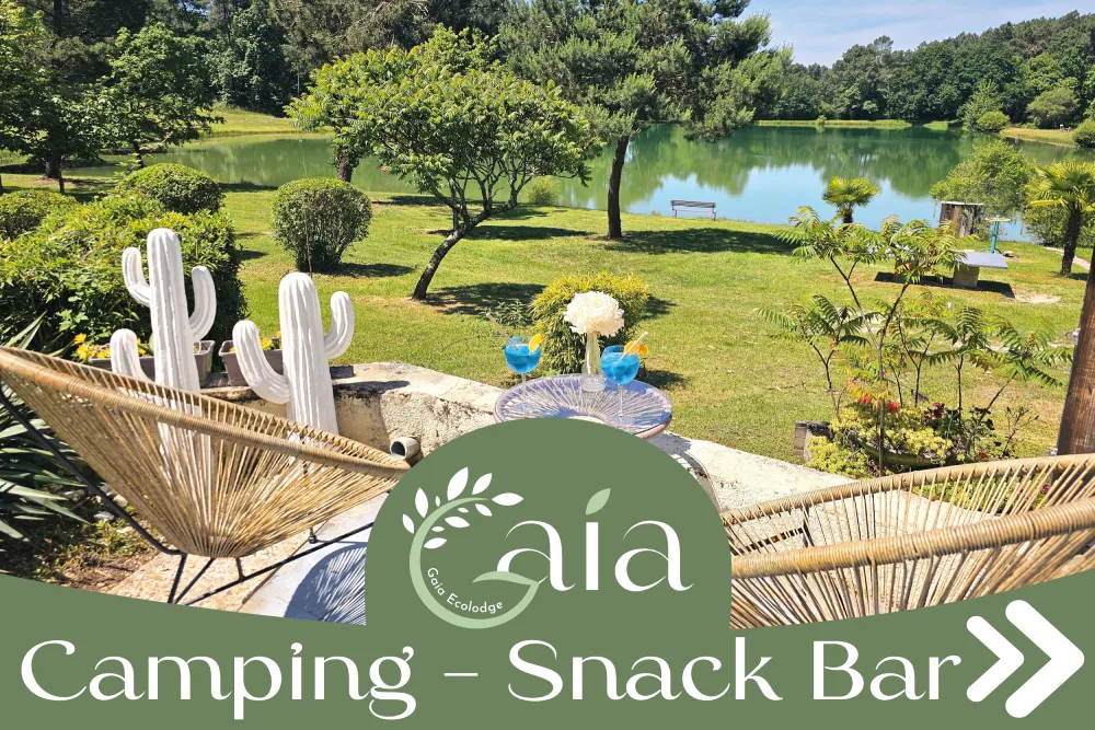 EBCD Signalétique Camping -panneau routier- GAIA-LODGE